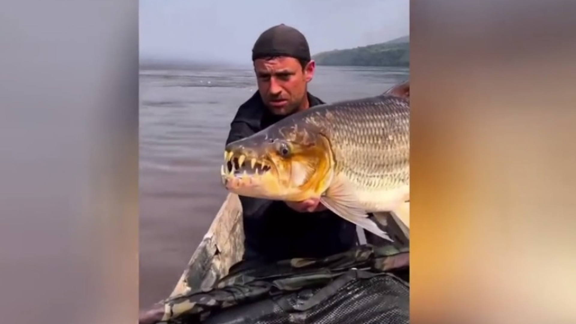 Рибар показа една от най-опасните риби в света ВИДЕО