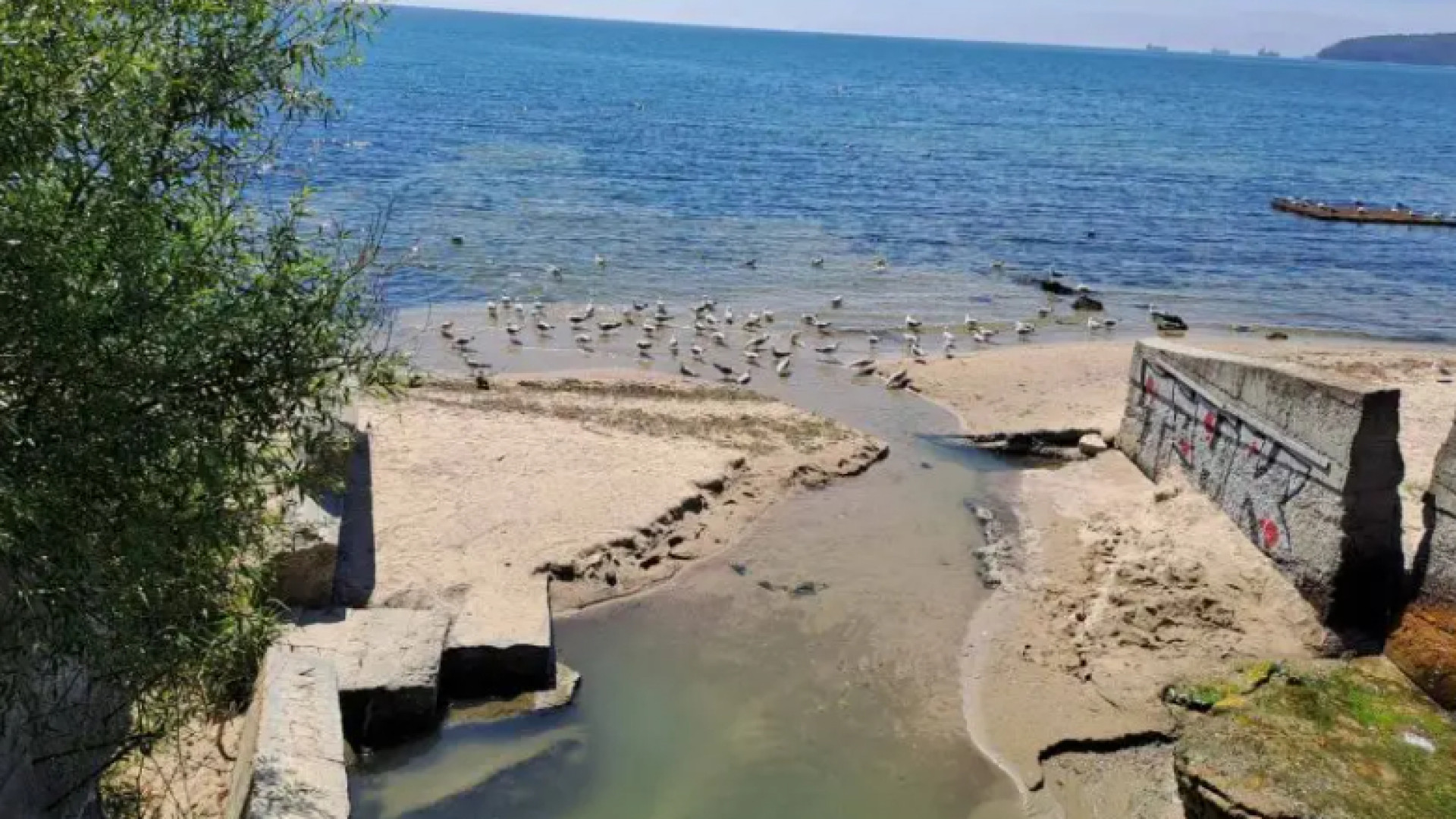 Нещо гнусно се излива в Черно море, варненци беснеят СНИМКИ