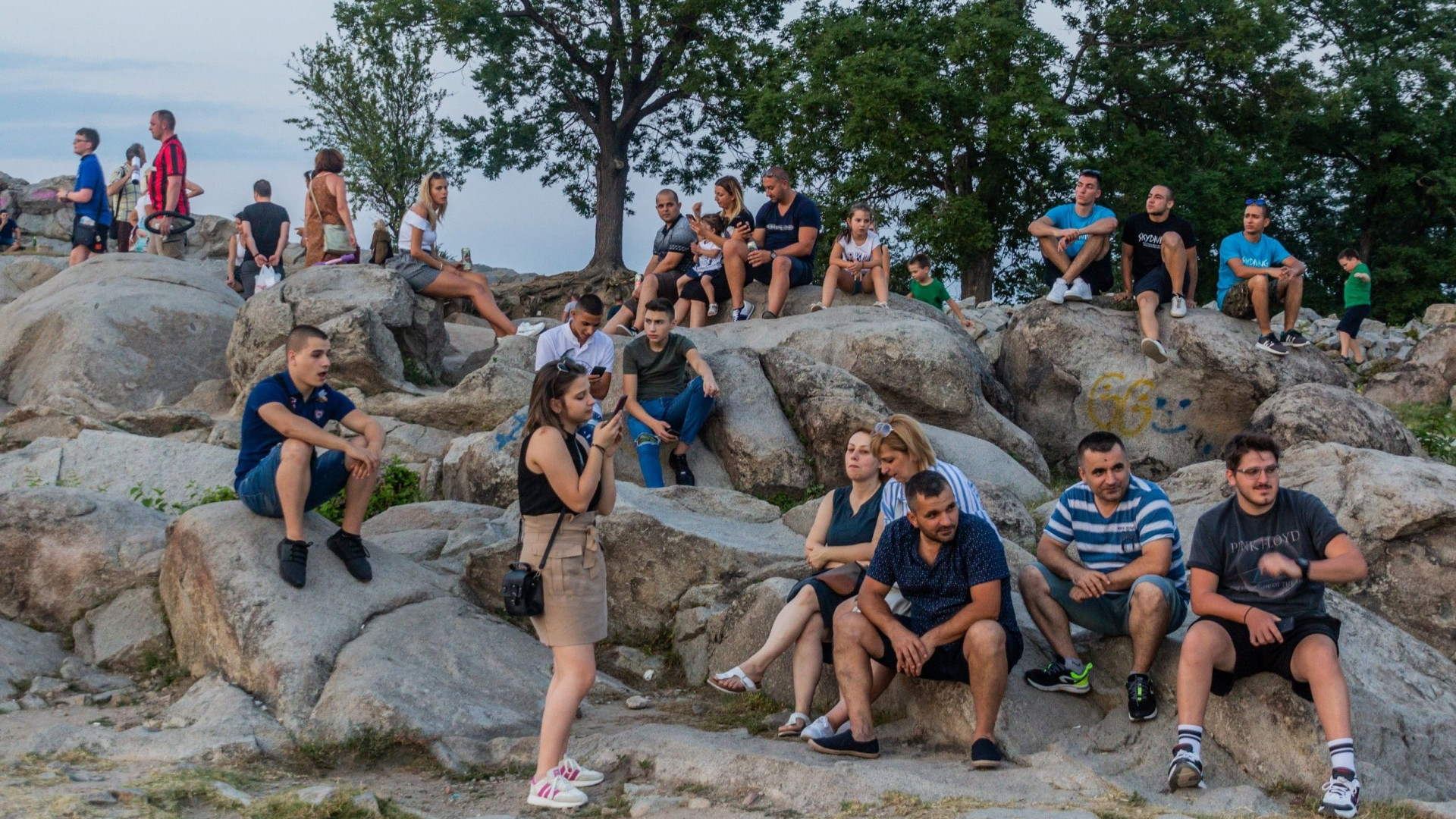 Куп странни птици налазиха Пловдив, харесва им че...