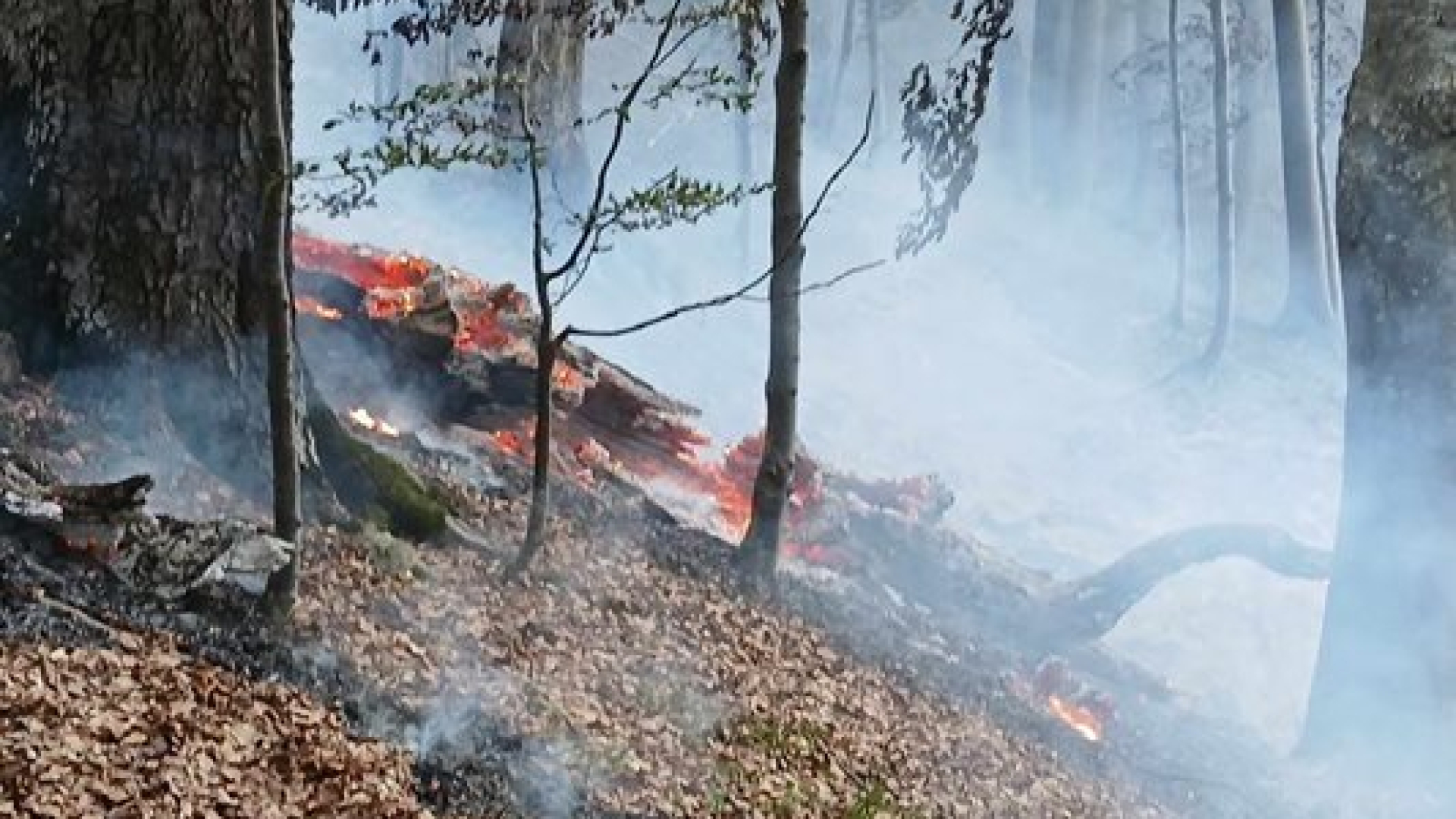 Военен ужас по гръцката граница край Сандански, а огненият ад напредва към България