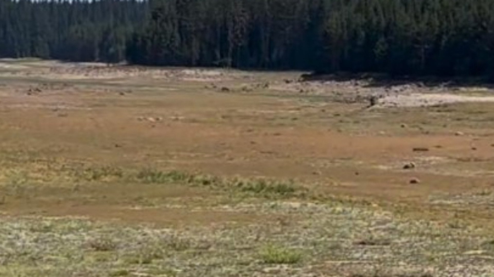 Притеснително: Наш язовир остана без капка вода СНИМКИ