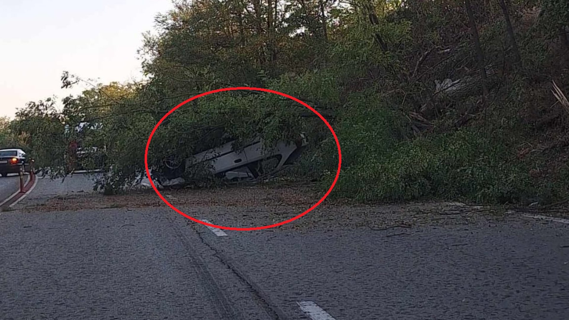 Шофьорите на пътя Русе-Бяла в шок от тази гледка СНИМКА