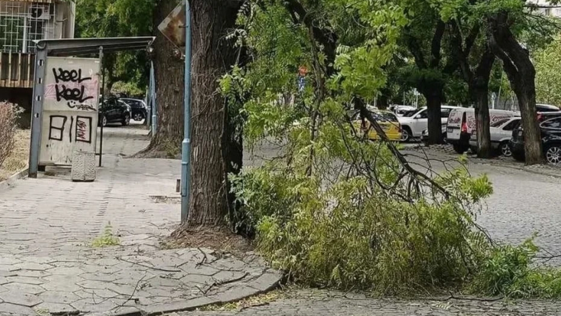 Слагайте каските! В Пловдив става все по-опасно заради бурното време