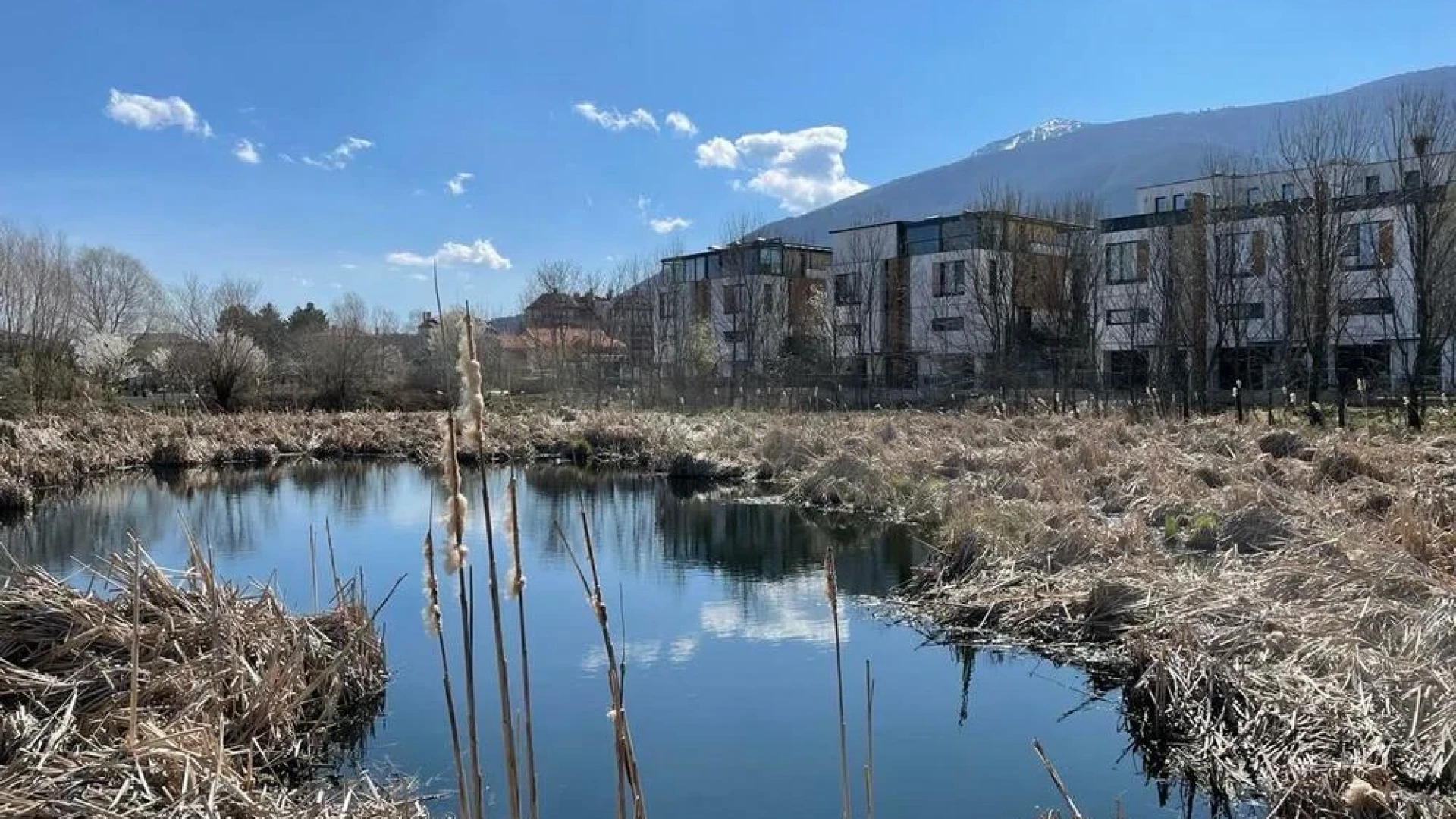 Този зелен рай се намира в София, но трябват много промени