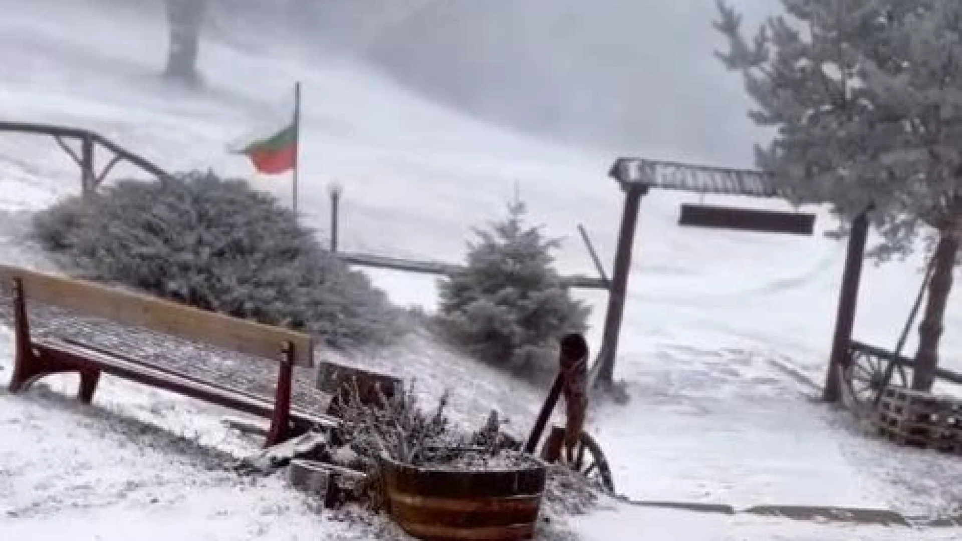 Първият сняг заваля! Ето къде в България зимата вече дойде СНИМКИ и ВИДЕО