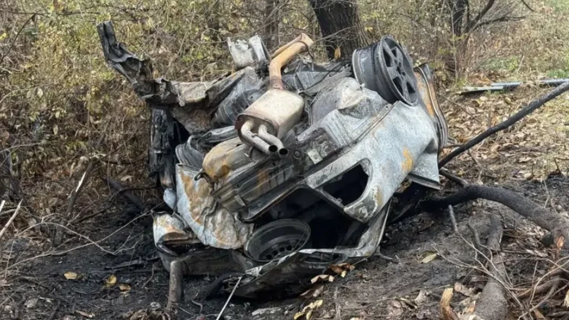 Очевидци със смразяващи думи за ужаса с изгорелите живи младежи в Пловдивско