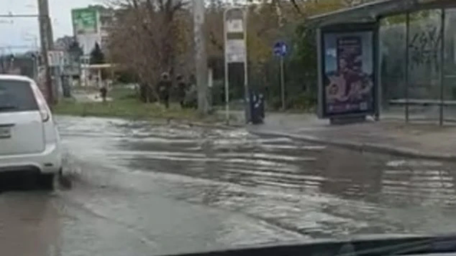 Булевард във Варна: Може да хванем някой сом тук ВИДЕО