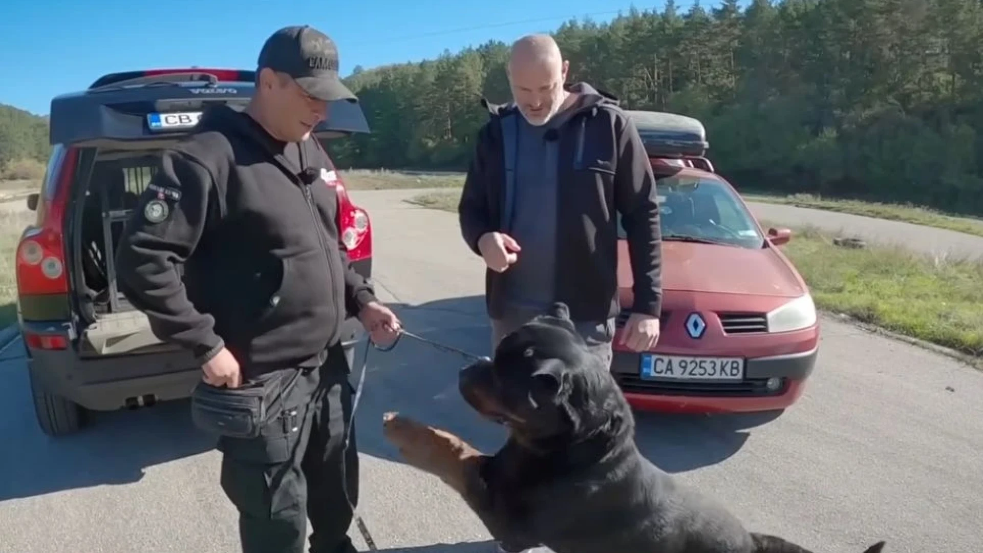 Всеки, който има куче, трябва да види това ВИДЕО