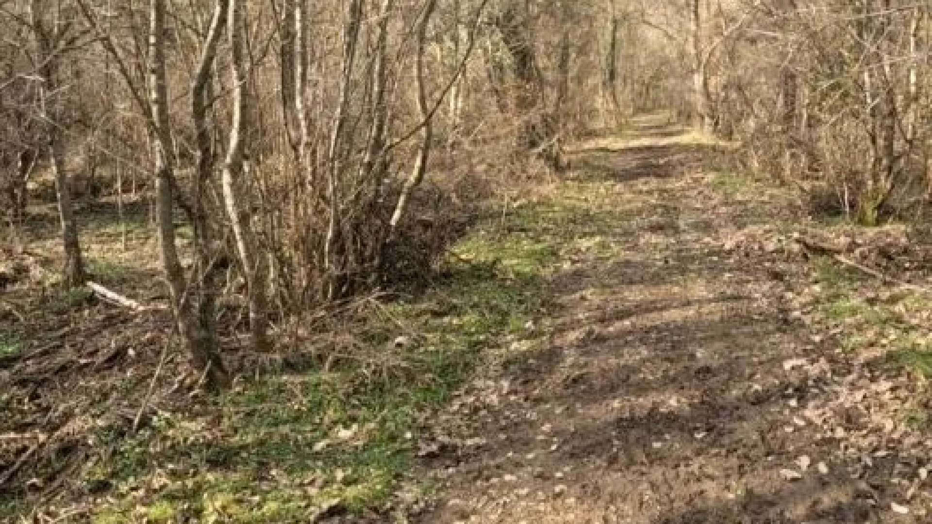 3 момчета открити мъртви в Странджа, мистерия обви случилото се 