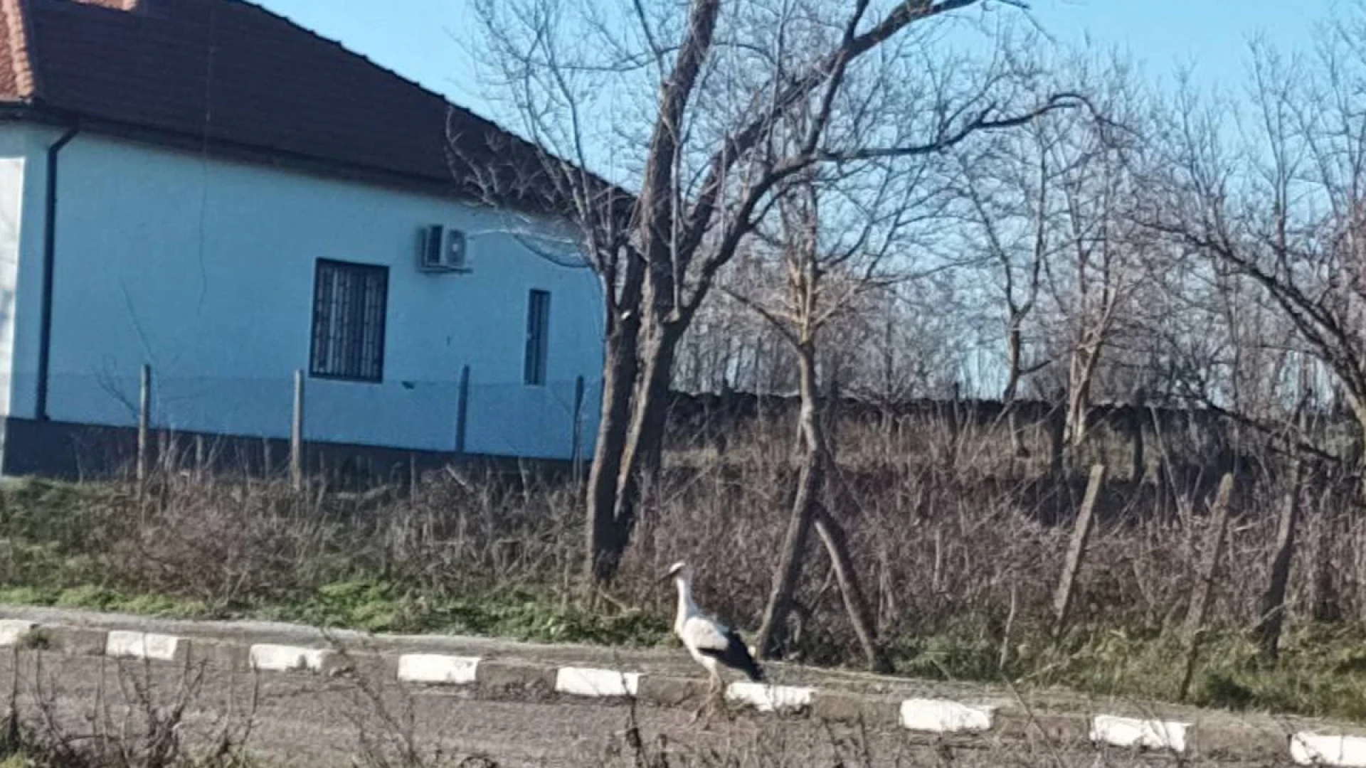 В Дропла гледат и се молят: Дано да е на късмет СНИМКА 