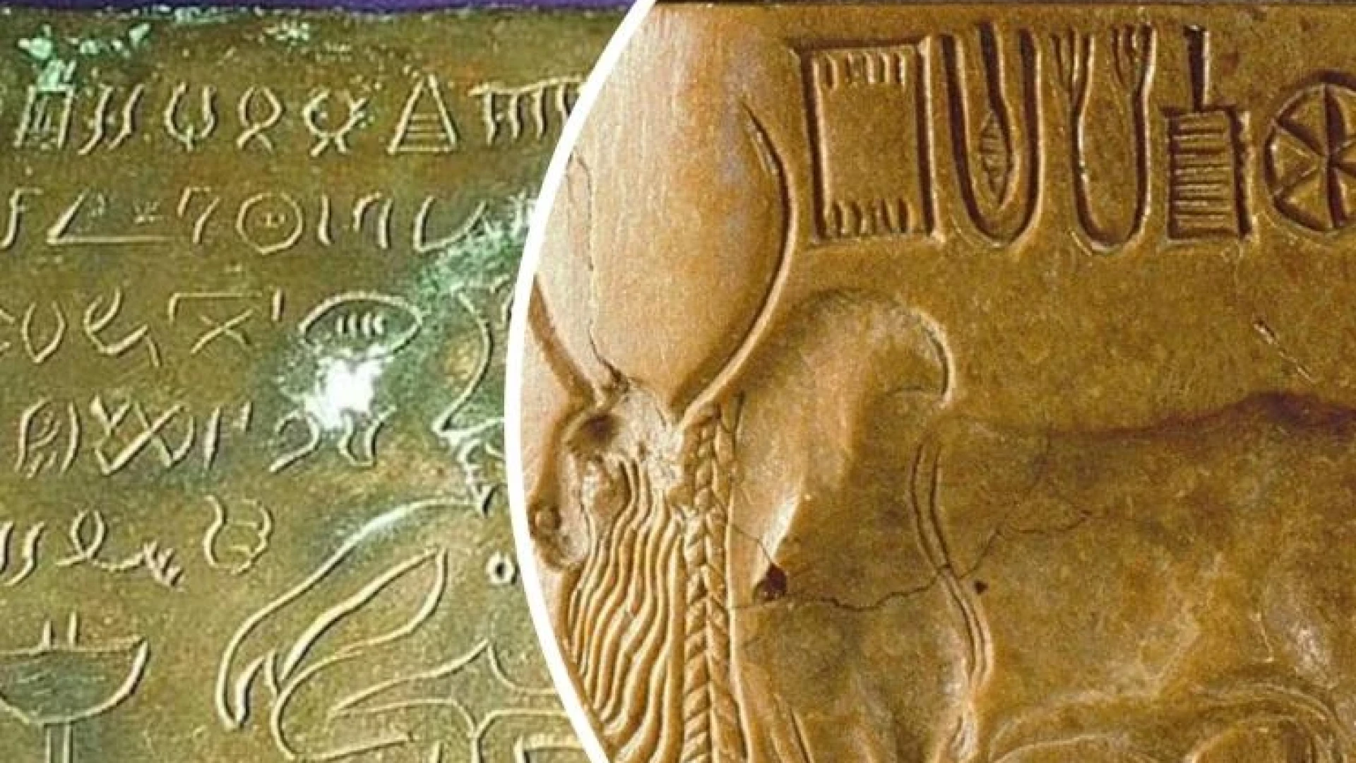 Сталин дава $1 млн. за разчитане на текстове