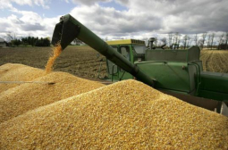 Земеделският министър с големи новини за износа на зърно, пазарът достига чак до... 