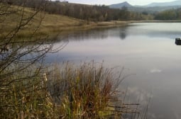 Положението е страшно в цяла България, оставаме без вода, спрешно трябва...