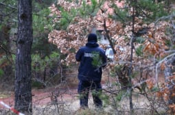 Русе изпадна в паника заради изгубени младежи, доброволци и ловджии ги търсят под дърво и камък