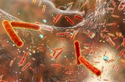 Ново 20: Смъртоносна бактерия уби стотици в Япония! 