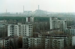 Шокиращо откритие: Тези твари до Чернобил не са засегнати от радиацията 