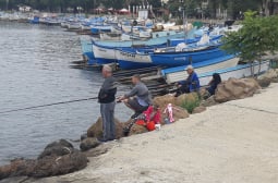 Рибарите по Черноморието в шок! Вече хващат нов отровен, но много вкусен деликатес СНИМКА