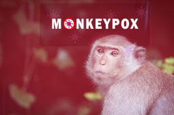 Маймунска шарка: Какво представлява и как да се предпазим