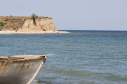 Експертите са в ужас: Голяма опасност плава в Черно море