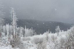 НИМХ с шокираща прогноза за четвъртък: На тези места ще вали сняг КАРТА
