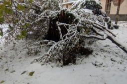 НИМХ обяви къде в петък ще вали сняг в България 