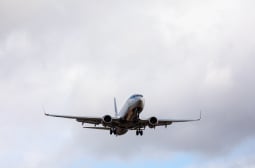 Невиждано: Пиле свали цял самолет! ВИДЕО