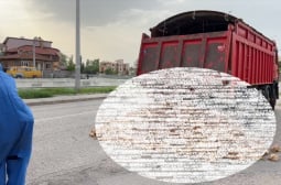 Шок! Трупове се изсипаха от камион в Хасково, миризмата е страшна ВИДЕО 18+