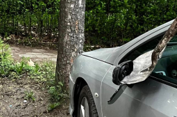 Крива лопата: Невиждана саморазправа с паркирана кола в София СНИМКИ
