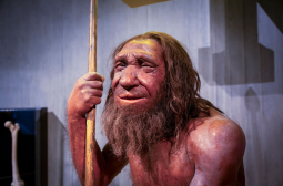 Показаха как е изглеждала наша неандерталска братовчедка преди 75 000 години 