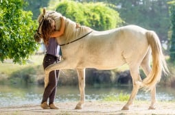 Невероятно приключение: Шведката и нейната бяла кобила прекосиха  реки и пустини