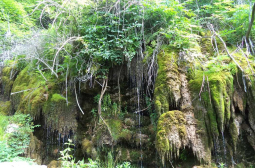 Ужас: България може да загуби един от най-красивите си водопади