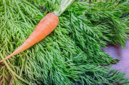 6 проблема, които лекуват листата на морковите