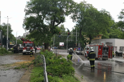 Разбра се имало ли е гонка с полицията при тежката катастрофа със загинали младежи в Пловдив