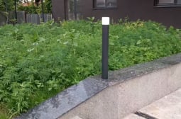 Софиянец снима тази градинка пред блок в ж.к. "Надежда" и мрежата пламна от коментари СНИМКИ
