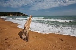 Нова секира за плажа в Бургас, забраниха наслада за мъжките очи