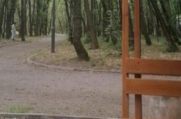 Извратеняк наказа питона пред очите на куп жени в столичен парк 