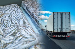 Германките плачат заради удар на български митничари по камион със замразена риба СНИМКИ