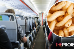 Отврат: Не е за вярване какво откри пътник на самолет в храната си  