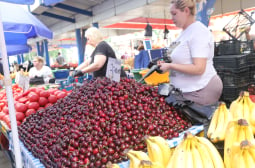 Заливат пазара със скъпи чужди плодове, а зеленчуците...  