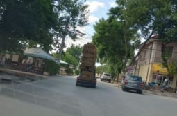 Шофьорите в Пазарджишко се хванаха за главите: Това нормално ли е? СНИМКА
