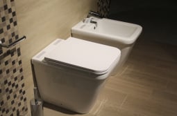Чистачи издадоха тайната за чиста тоалетна чиния