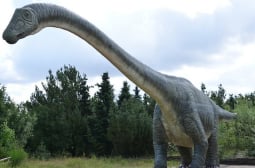 Откриха останки на динозавър