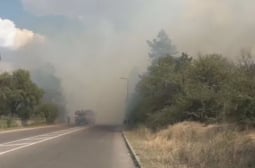 Огнен ужас край бензиностанция в Харманли, опасност от взрив