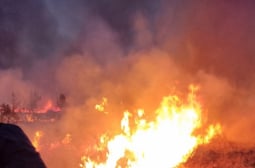 Първи арест заради огнения ад в Пловдив