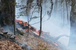 Военен ужас по гръцката граница край Сандански, а огненият ад напредва към България