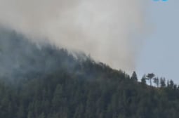 България на нокти заради пожара в минираната гора на границата с Гърция ВИДЕО 