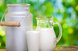 Кое мляко е най-здравословно?