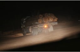 Задържаха два камиона с незаконна дървесина край Шумен