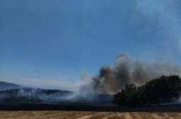 Последни данни за огнения ужас край Пловдив! СНИМКИ