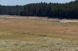 Притеснително: Наш язовир остана без капка вода СНИМКИ